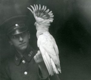 A Keeper Holds a Young Cockatoo at London Zoo, September 1921 by Frederick William Bond